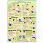 Paschimottanasana and Ardha Matsyendrasana Chart
